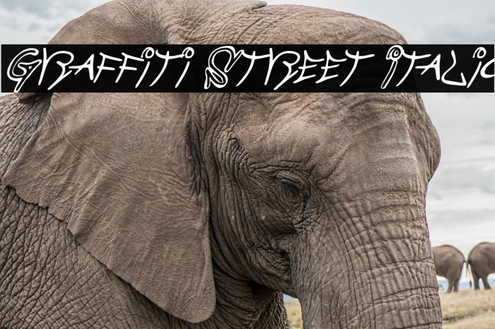 Graffiti Street Italic Schriftart examples