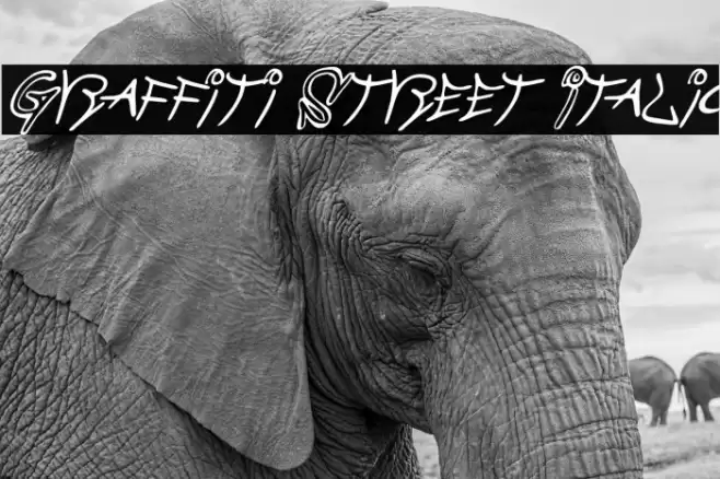 Graffiti Street Italic Schriftart examples