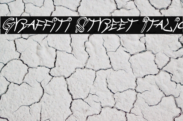 Graffiti Street Italic Schriftart examples