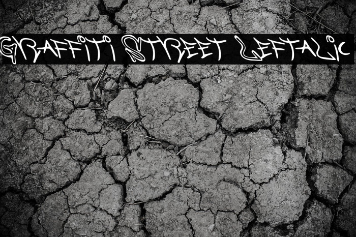 Graffiti Street Leftalic फ़ॉन्ट examples