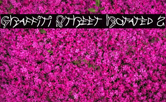 Graffiti Street Rotated 2 Шрифта examples