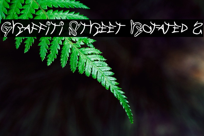 Graffiti Street Rotated 2 Шрифта examples