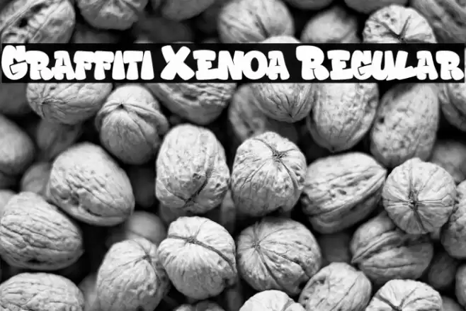 Graffiti Xenoa Regular Font examples