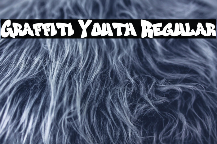 Graffiti Youth Regular Example 3