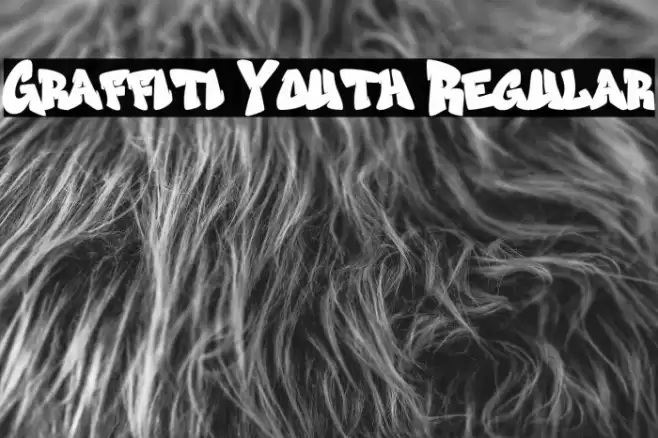 Graffiti Youth Regular Font examples