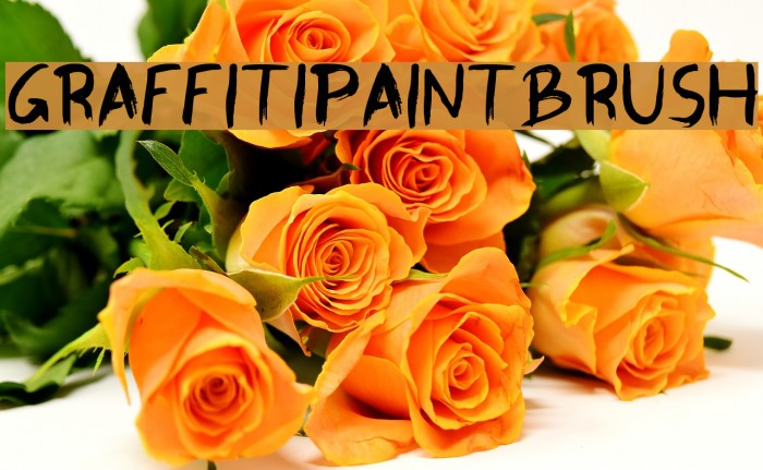 GraffitiPaintBrush Font examples