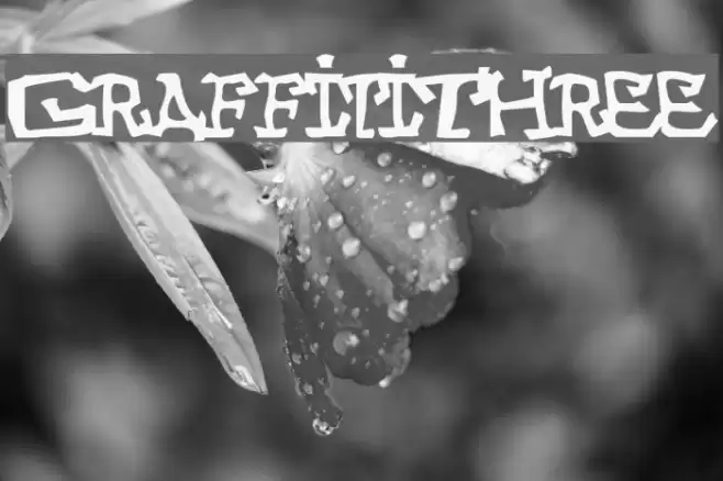 GraffitiThree Font examples