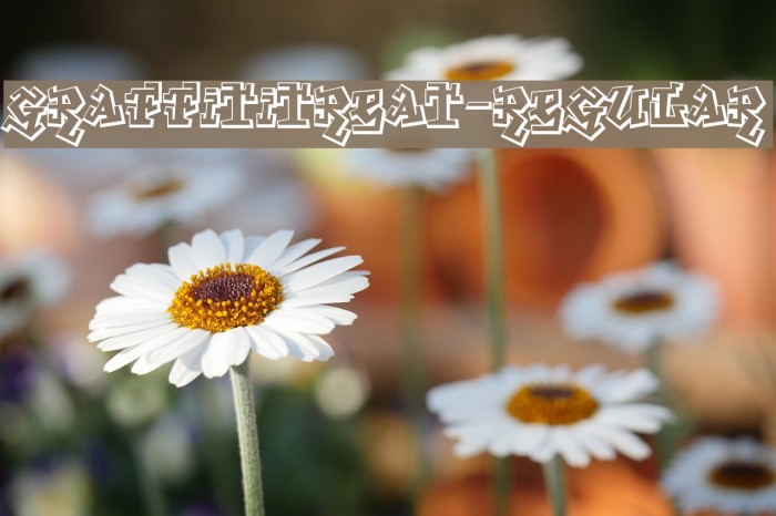 GraffitiTreat-Regular Example 2