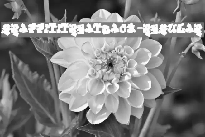 GraffitiTreatBack-Regular Font examples