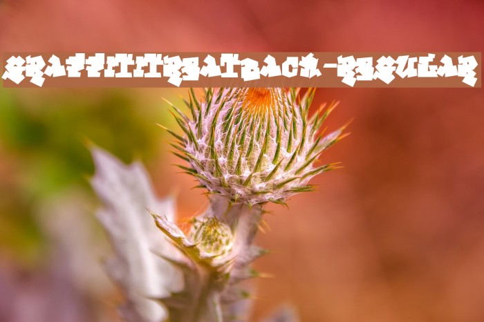 GraffitiTreatBack-Regular Example 3