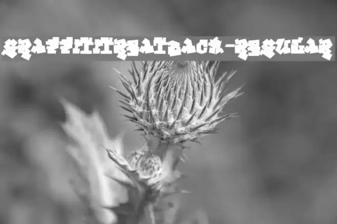 GraffitiTreatBack-Regular Font examples