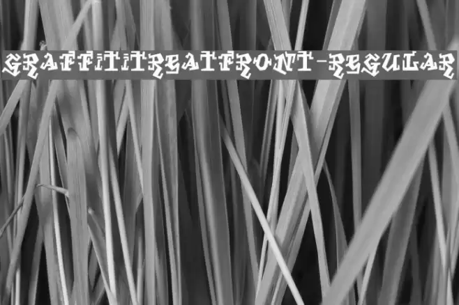 GraffitiTreatFront-Regular Font examples