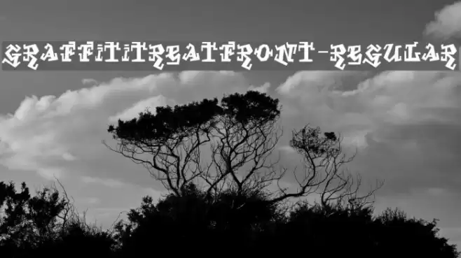 GraffitiTreatFront-Regular Font examples