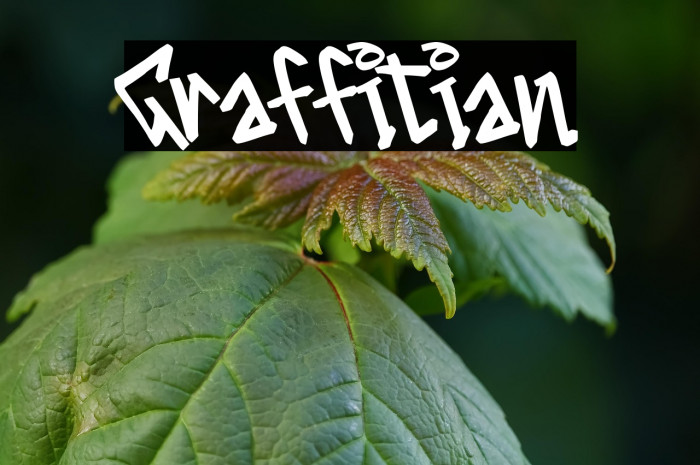 Graffitian Example 2