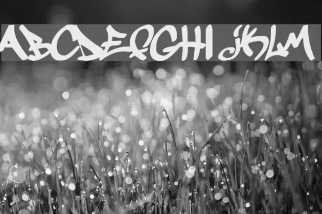 Graffogie Font examples