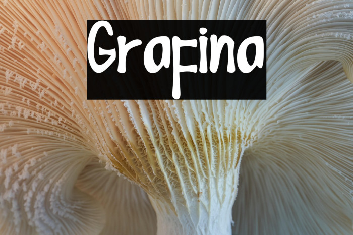 Grafina Example 1