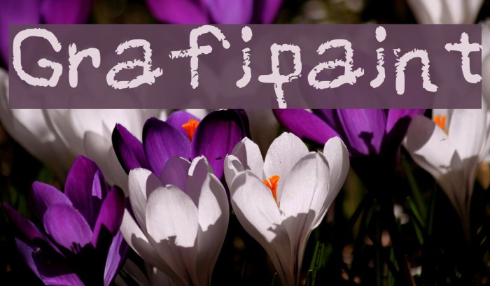 Grafipaint Example 2