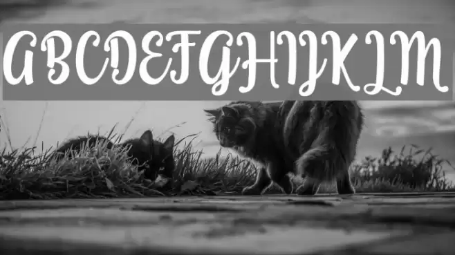 Grafiteg free Font examples