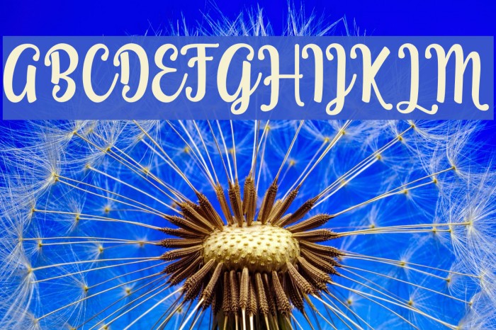 Grafiteg free Example 2