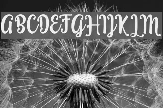 Grafiteg free Font examples