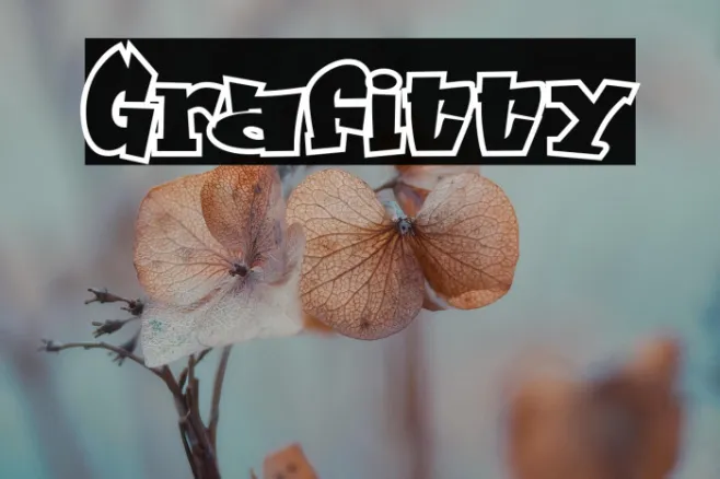 Grafitty Example 2