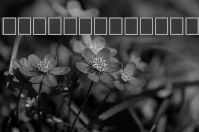 Grafoman. Font examples