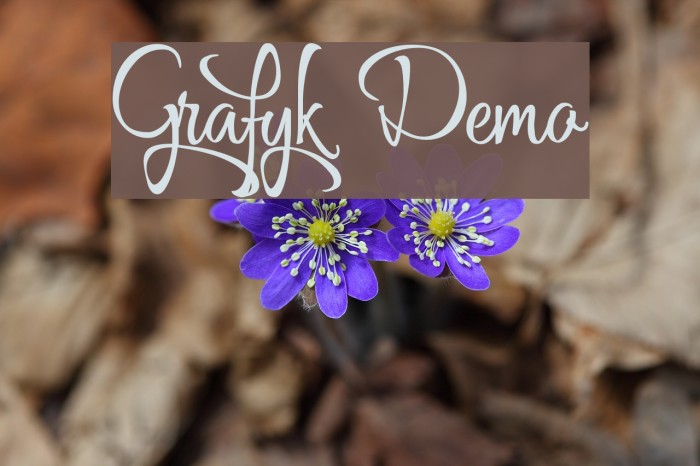 Grafyk Demo Font examples