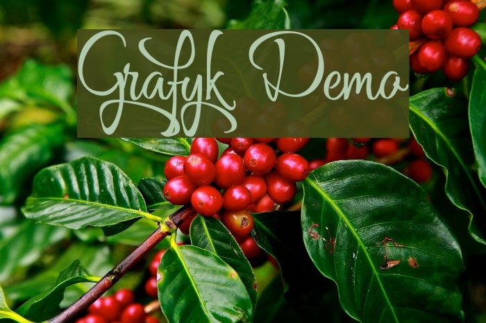 Grafyk Demo Font examples
