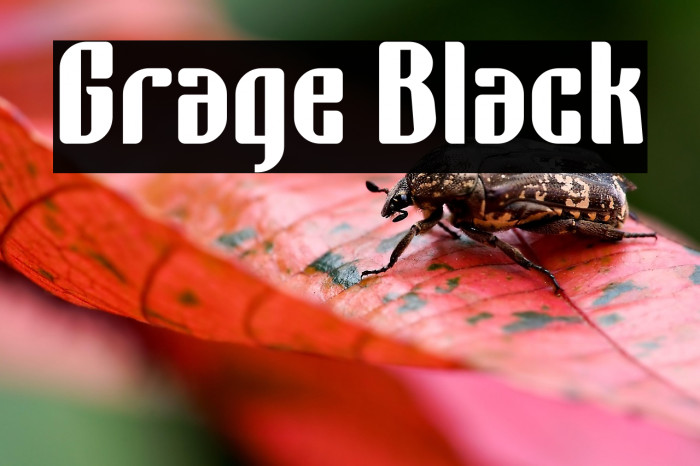 Grage Black Example 2