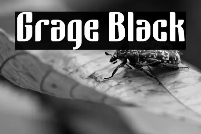 Grage Black Font examples