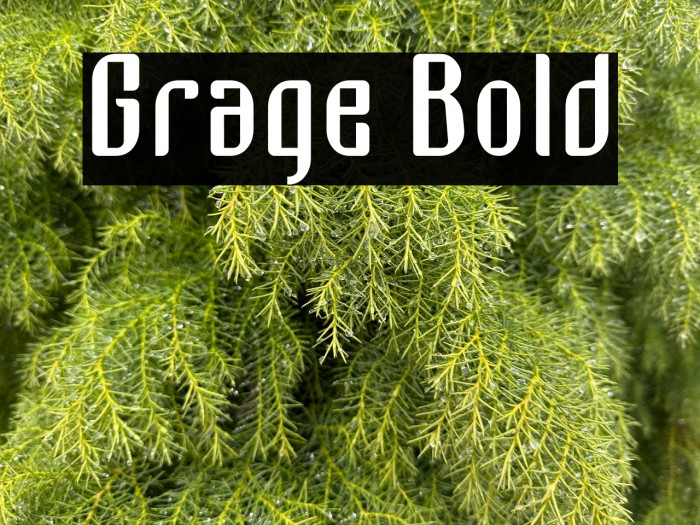 Grage Bold Example 1