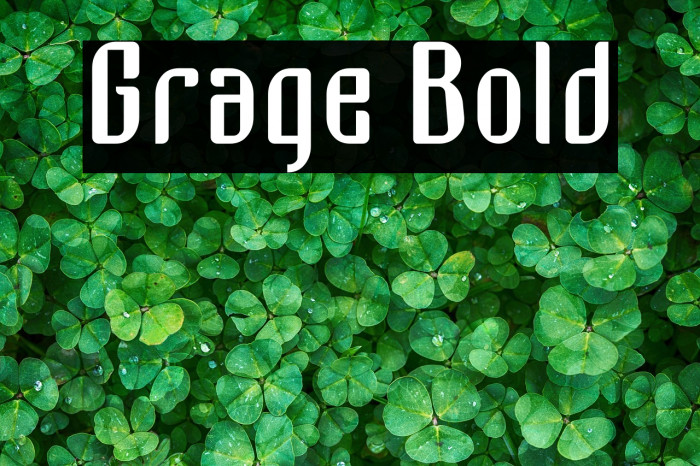 Grage Bold Example 2