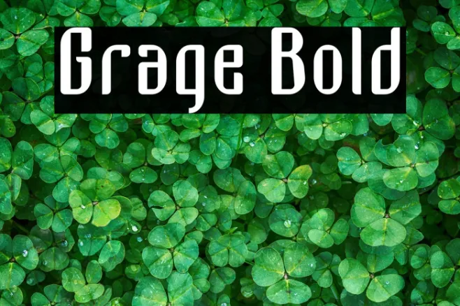 Grage Bold Example 2