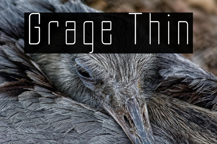 Grage Thin Example 3