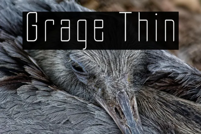 Grage Thin Example 3