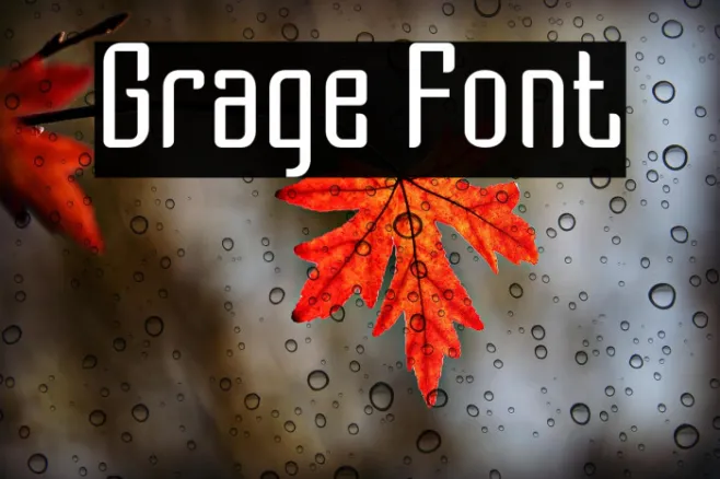Grage Example 3