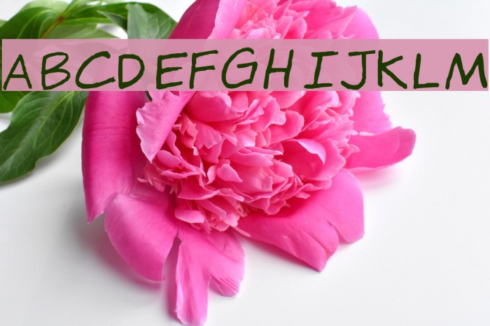 Gragsie Font examples