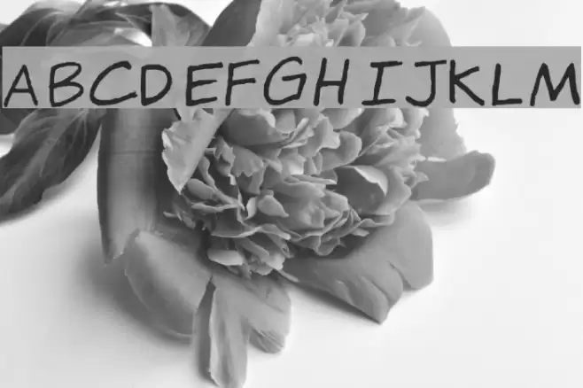 Gragsie Font examples