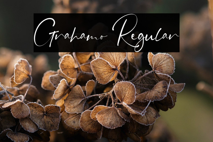 Grahamo Regular Example 1