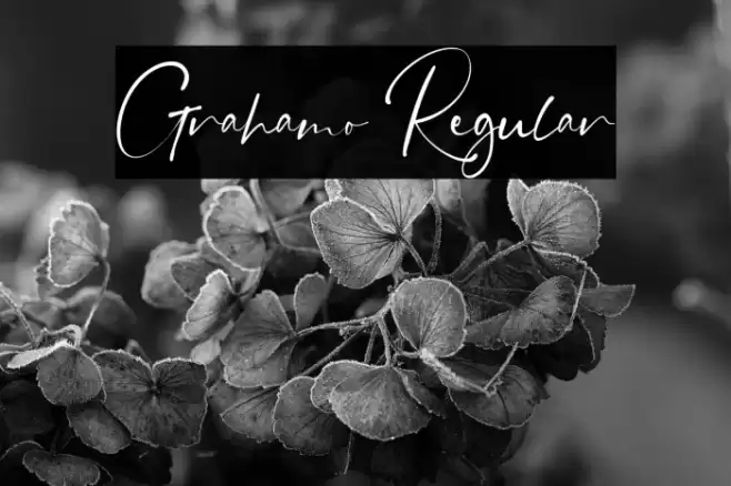 Grahamo Regular Font examples