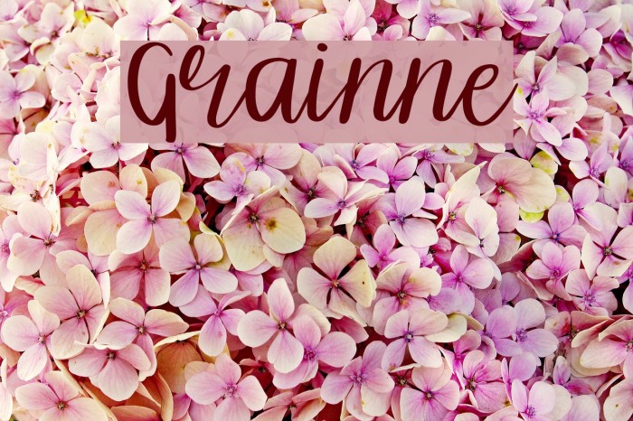 Grainne Font examples
