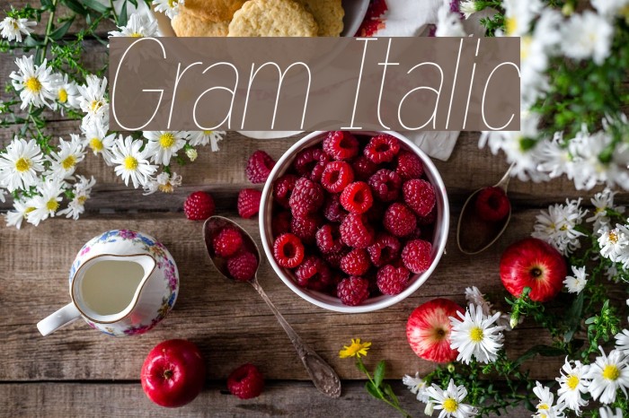 Gram Italic Font examples