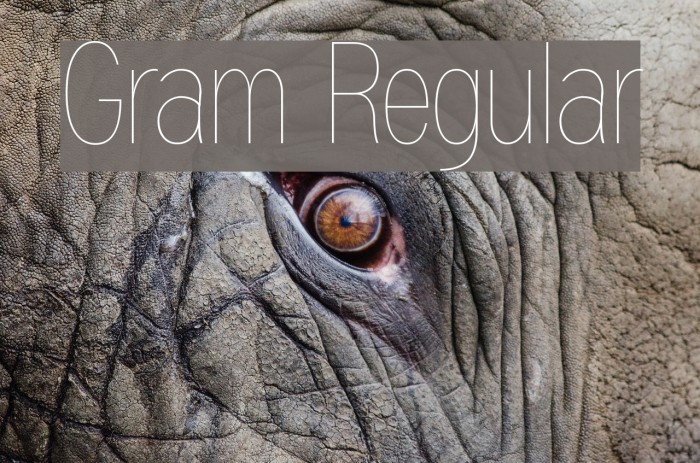 Gram Regular Font examples