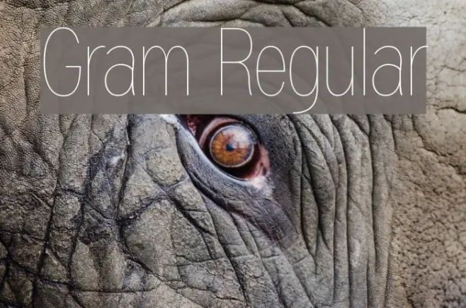 Gram Regular Example 3