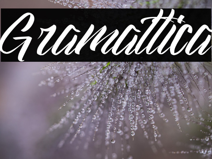 Gramattica Example 1