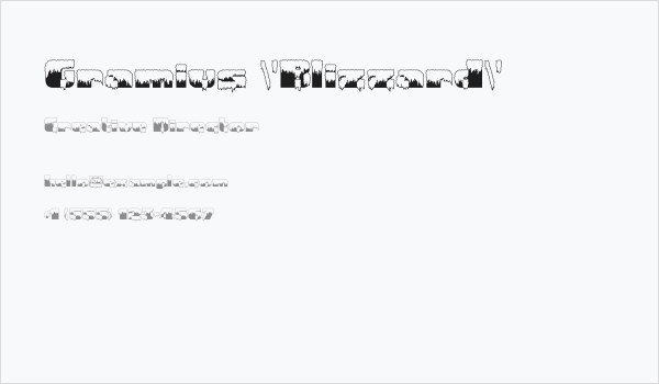 Gramius 'Blizzard' Business Card