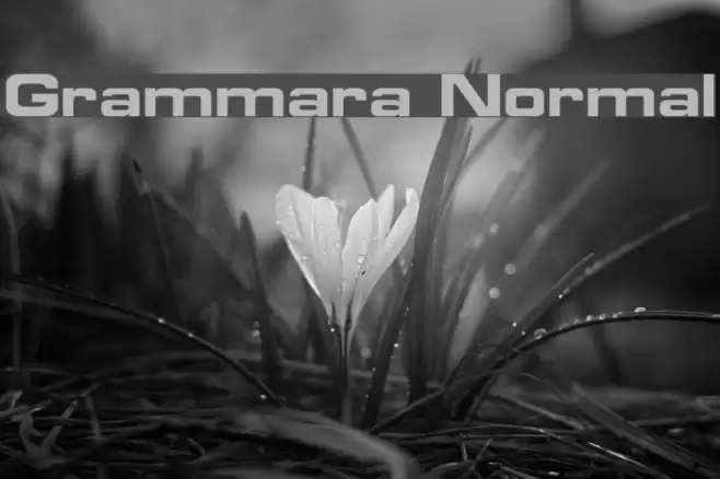 Grammara Normal Шрифта examples
