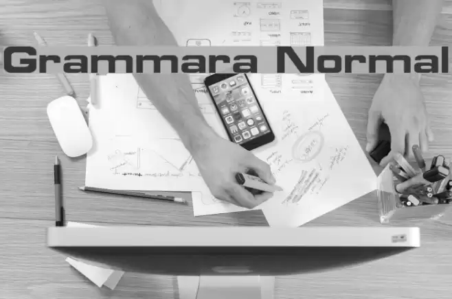 Grammara Normal Шрифта examples