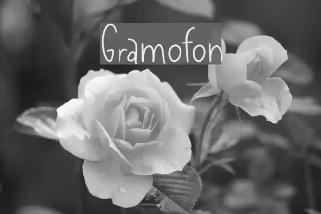 Gramofon Font examples