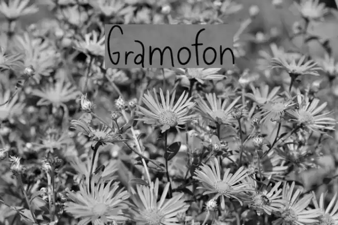 Gramofon Font examples